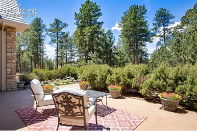 16075 Winding Trail Road, Colorado Springs, CO 80908 - Photo 6