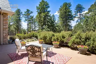 16075 Winding Trail Rd, Colorado Springs, CO 80908 - Photo 6