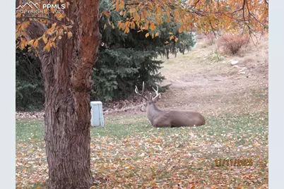 290 Cobblestone Drive, Colorado Springs, CO 80906 - Photo 28