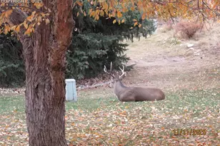 290 Cobblestone Dr, Colorado Springs, CO 80906 - Photo 28