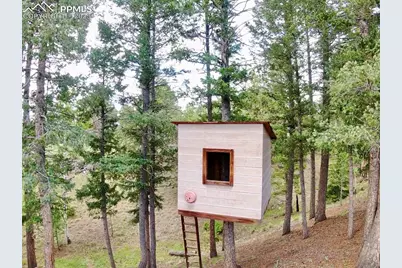 2988 Sunnywood Avenue, Woodland Park, CO 80863 - Photo 36