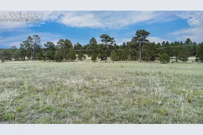 11809 Flap Jack Lane, Colorado Springs, CO 80908 - Photo 10