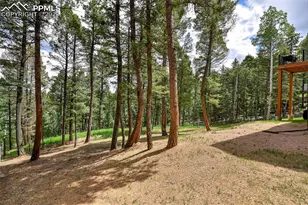 29 Dusti Cir, Florissant, CO 80816 - Photo 42