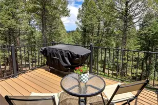 29 Dusti Cir, Florissant, CO 80816 - Photo 40