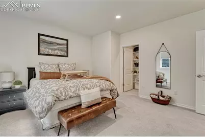 9167 Selkirk Place, Colorado Springs, CO 80924 - Photo 40