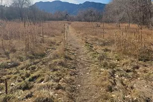 3271 Apogee View, Colorado Springs, CO 80906 - Photo 36