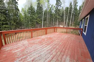 419 Donzi Trail, Florissant, CO 80816 - Photo 20