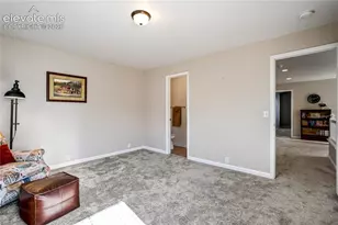 3931 Diamond Ridge View, Colorado Springs, CO 80918 - Photo 34