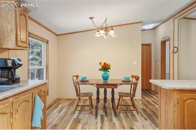 2450 Pathfinder Road, Florissant, CO 80816 - Photo 8