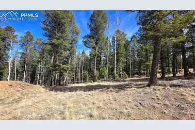 19 Serenity Circle, Florissant, CO 80816 - Photo 1