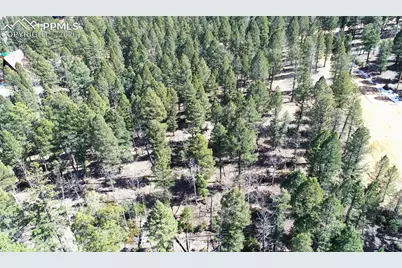 19 Serenity Circle, Florissant, CO 80816 - Photo 16