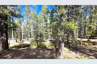 19 Serenity Circle, Florissant, CO 80816 - Photo 10