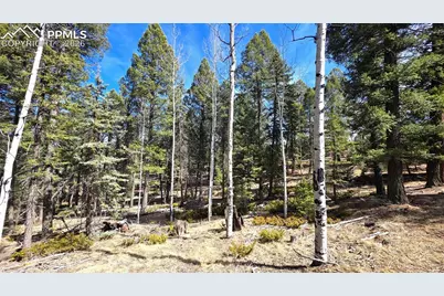 19 Serenity Circle, Florissant, CO 80816 - Photo 8