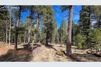 19 Serenity Circle, Florissant, CO 80816 - Photo 2