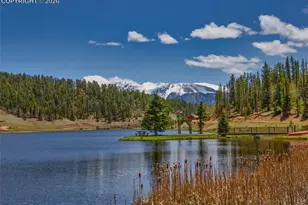 377 Ridge Rd, Divide, CO 80814 - Photo 50