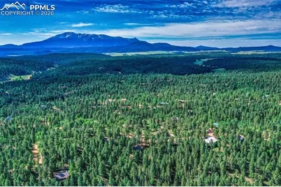 377 Ridge Road, Divide, CO 80814 - Photo 44