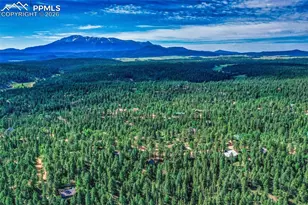 377 Ridge Rd, Divide, CO 80814 - Photo 44