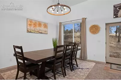 526 Irwin Drive, Florissant, CO 80816 - Photo 8