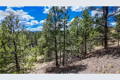 218 Princess Road, Cripple Creek, CO 80813 - Photo 8