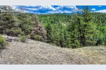 218 Princess Road, Cripple Creek, CO 80813 - Photo 4