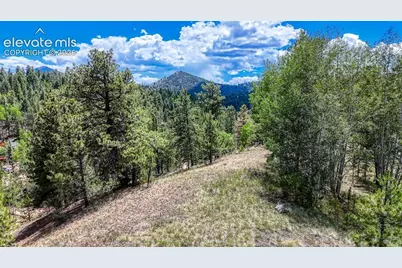 218 Princess Road, Cripple Creek, CO 80813 - Photo 18