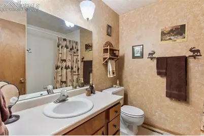 5580 Moosa Road, Cascade, CO 80809 - Photo 14