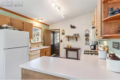 5580 Moosa Road, Cascade, CO 80809 - Photo 10