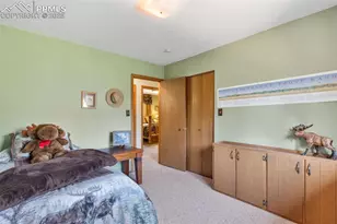 5580 Moosa Rd, Cascade, CO 80809 - Photo 22