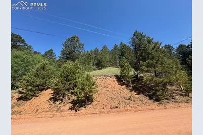 281 Pikes Peak Drive, Divide, CO 80814 - Photo 2