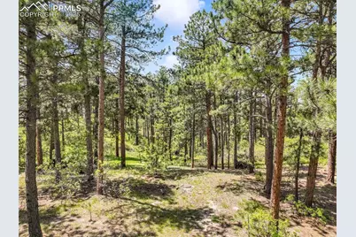 1180 Lone Scout Lookout, Monument, CO 80132 - Photo 1