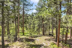1180 Lone Scout Lookout, Monument, CO 80132 - Photo 1