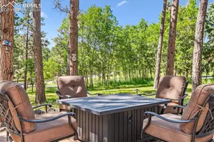 18971 Shadowood Dr, Monument, CO 80132 - Photo 34