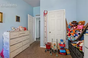 7659 Marmot Point, Colorado Springs, CO 80922 - Photo 16