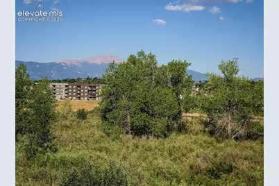 865 Piros Drive, Colorado Springs, CO 80922 - Photo 38