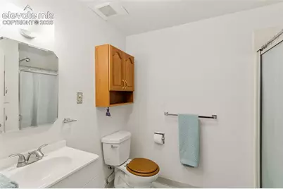 711 N Institute Street, Colorado Springs, CO 80903 - Photo 24