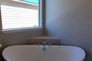 6544 Miro Ln, Colorado Springs, CO 80924 - Photo 14