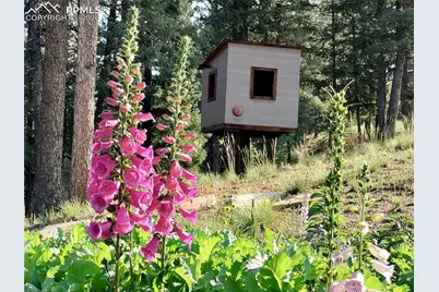 2988 Sunnywood Avenue, Woodland Park, CO 80863 - Photo 34