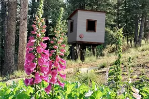 2988 Sunnywood Ave, Woodland Park, CO 80863 - Photo 34