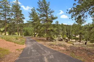 9 Kingston Cir, Florissant, CO 80816 - Photo 36