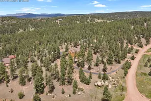 9 Kingston Cir, Florissant, CO 80816 - Photo 38