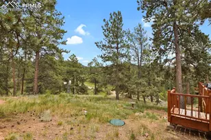 9 Kingston Cir, Florissant, CO 80816 - Photo 34