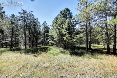 18400 Black Squirrel Road, Colorado Springs, CO 80908 - Photo 8