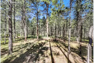 18400 Black Squirrel Road, Colorado Springs, CO 80908 - Photo 10
