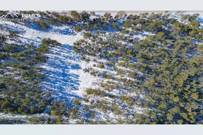 14420 S Perry Park Road, Larkspur, CO 80118 - Photo 20