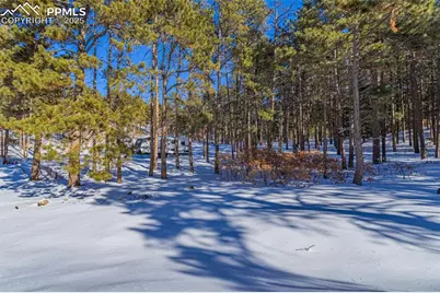 14420 S Perry Park Road, Larkspur, CO 80118 - Photo 28