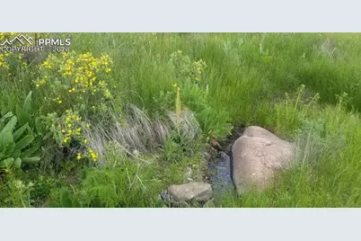 61 Canyon Drive, Florissant, CO 80816 - Photo 2