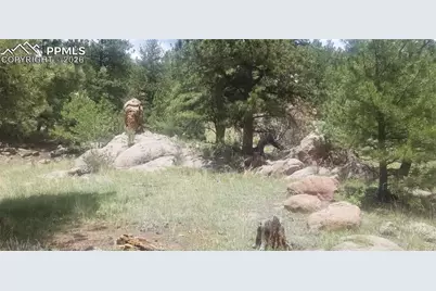 61 Canyon Drive, Florissant, CO 80816 - Photo 1