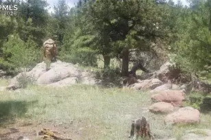 61 Canyon Dr, Florissant, CO 80816 - Photo 1