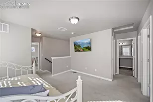 6472 Barr Pt, Colorado Springs, CO 80924 - Photo 16