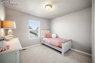 6472 Barr Pt, Colorado Springs, CO 80924 - Photo 24